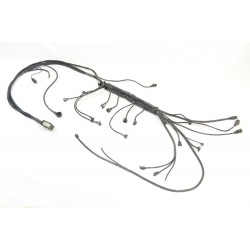 Mercedes Engine Harness A1244405432, A1245438733